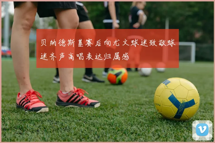贝纳德斯基赛后向尤文球迷致敬球迷齐声高唱表达归属感
