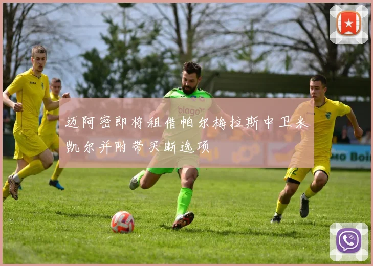 迈阿密即将租借帕尔梅拉斯中卫米凯尔并附带买断选项