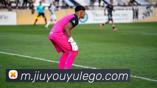 九游娱乐平台生态图